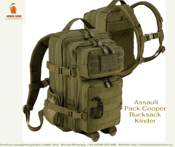 A typical military backpack